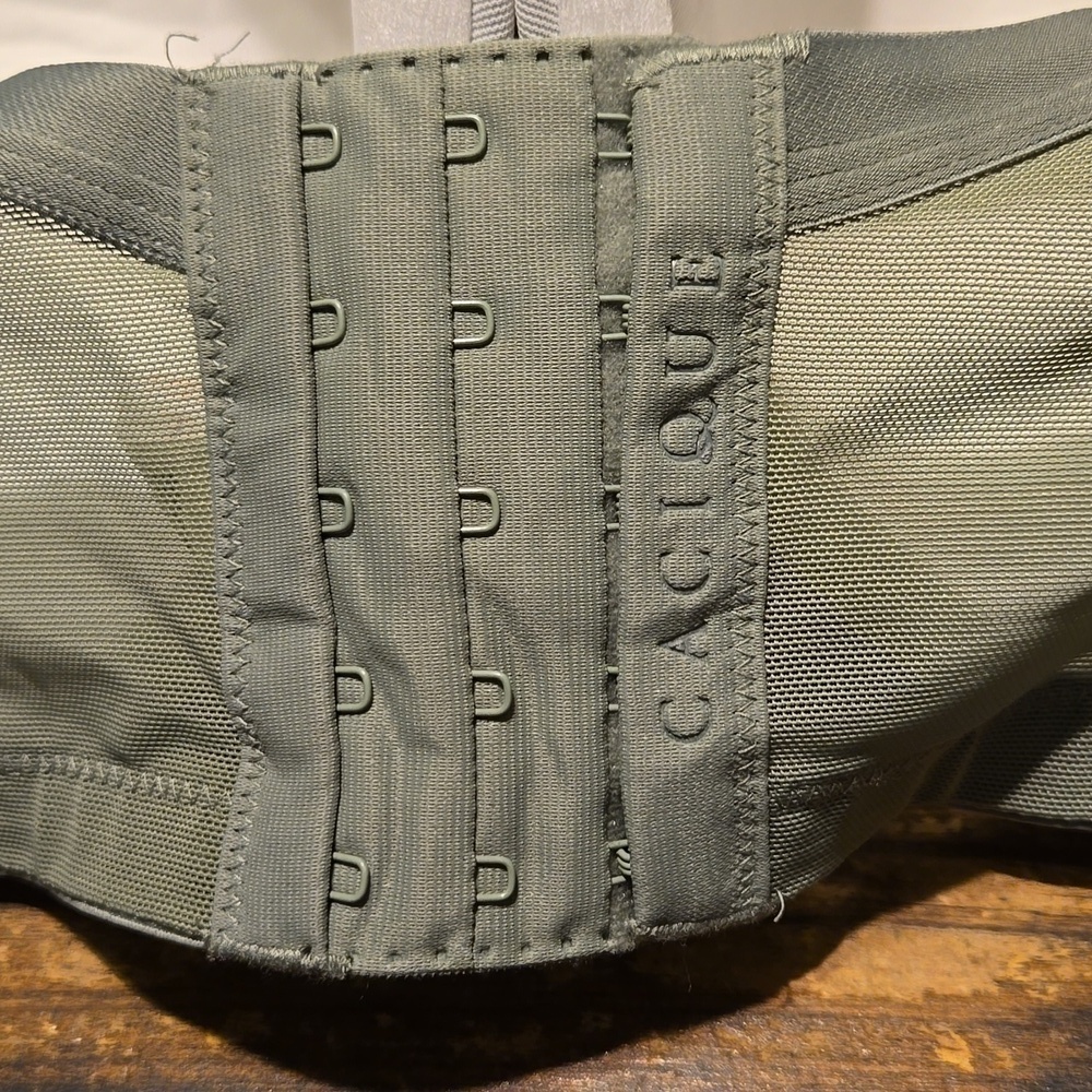 Cacique Green Lace Lightly Lined Full Coverage Underwire Bra Sz 44H NWOT - Picture 5 of 7